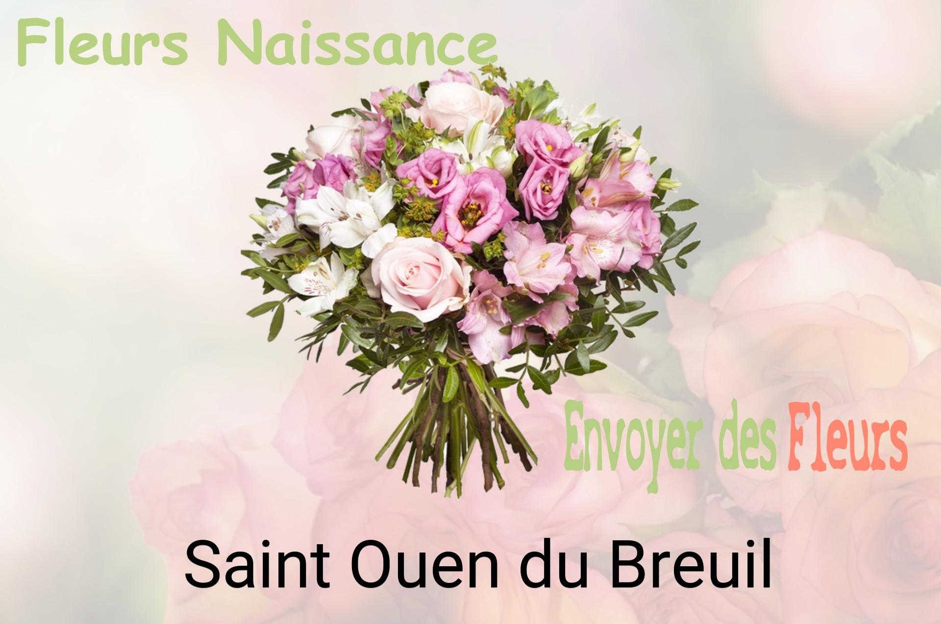 Bouquet de fleurs de naissance livré à Saint-Ouen-du-Breuil